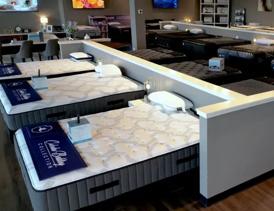 innerspring--explore-bedzzz-express